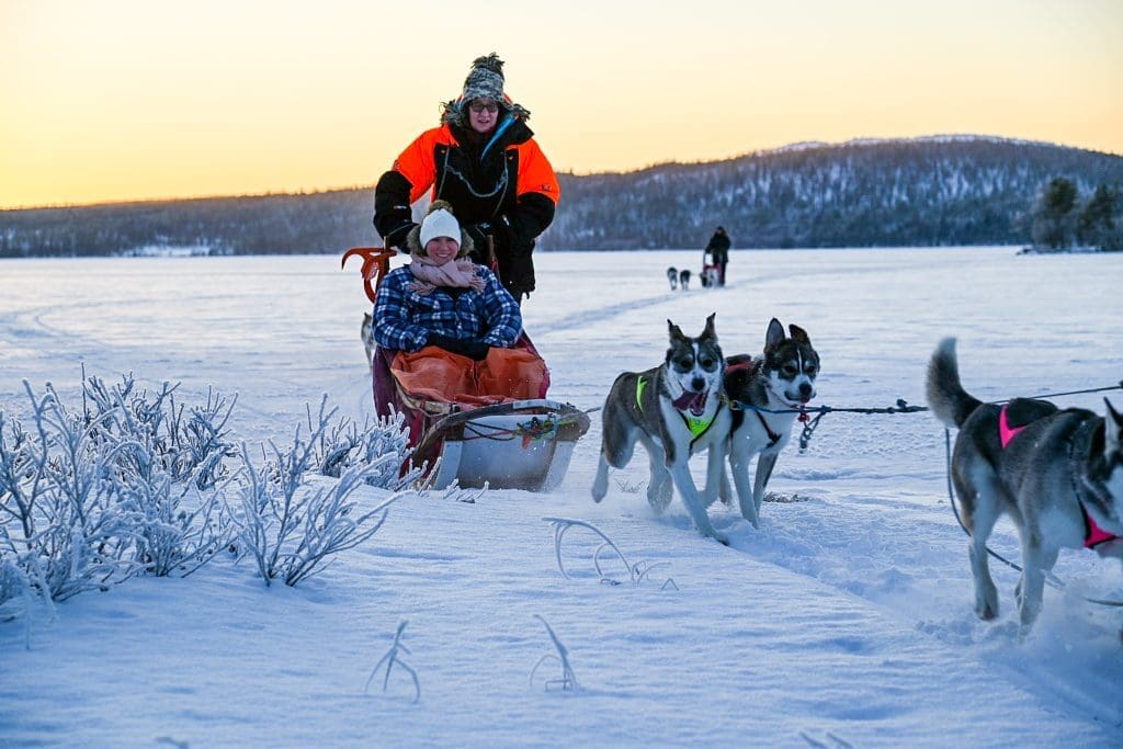 Private Trip to Lapland - Wildmaker Lapland